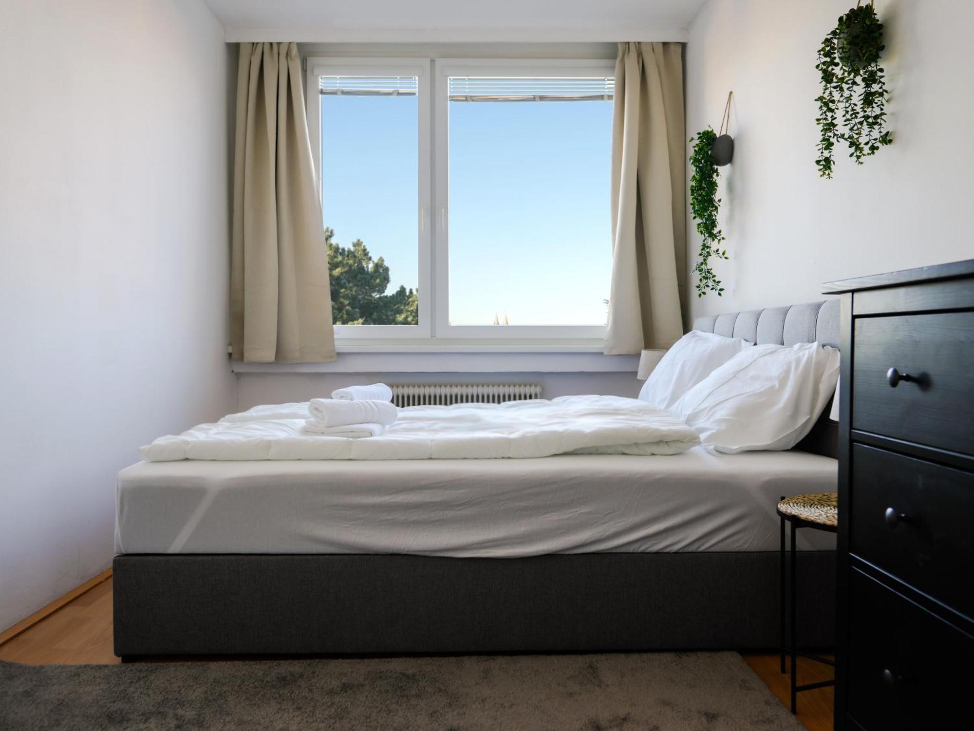 Spacious With View & Free Parking *