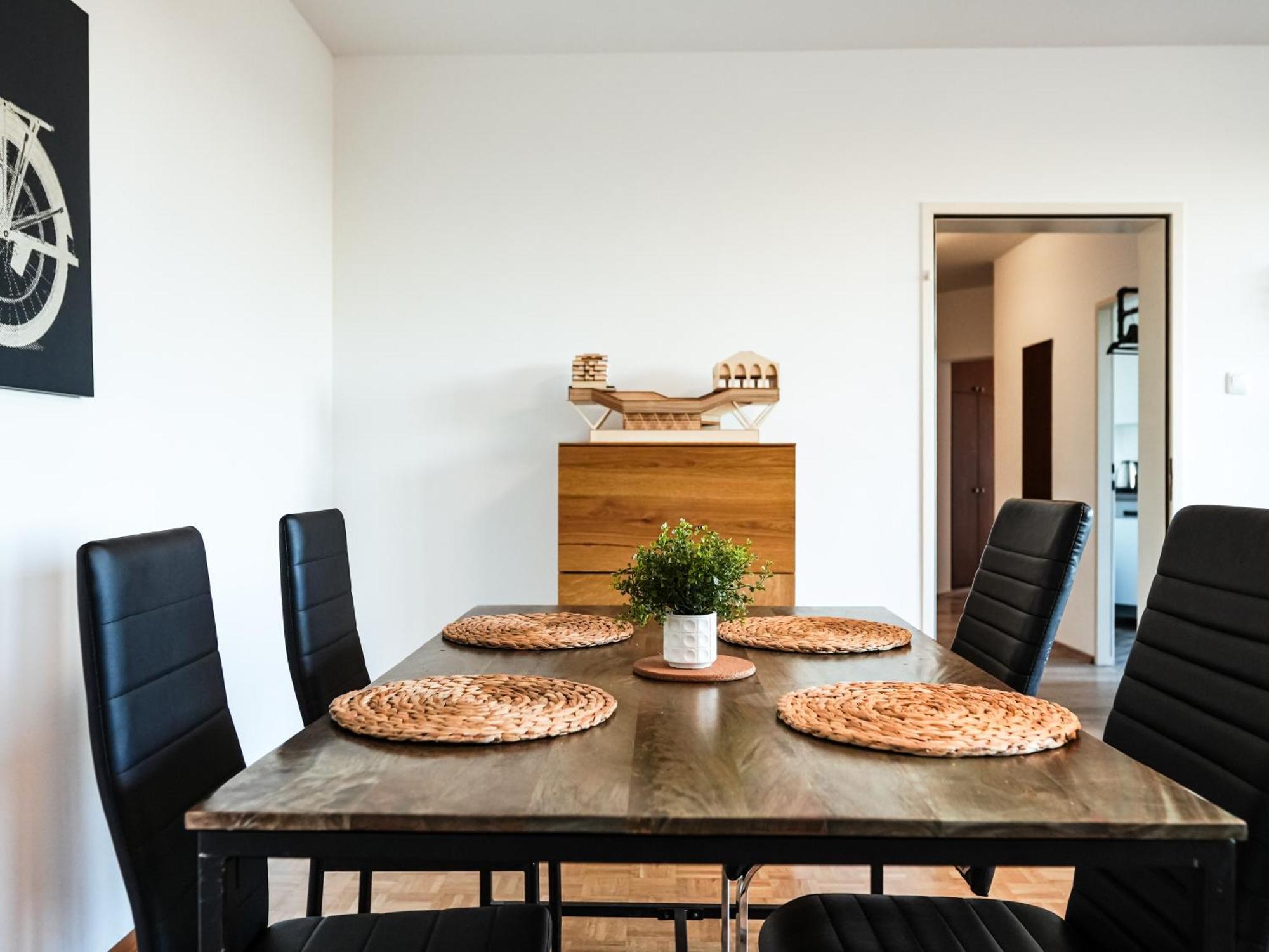 Apartment Spacious With View & Free Parking Wiener Neustadt